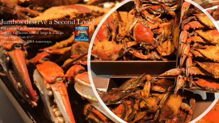 Jumbo Crabs Deserve a Second Look