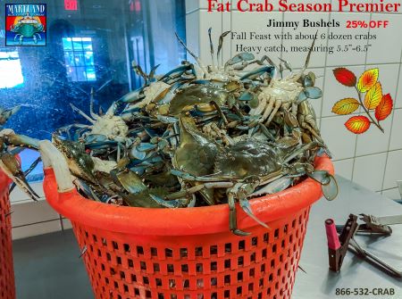 Half Bushel Jimmies Fat Crab Season Jimmy Sale