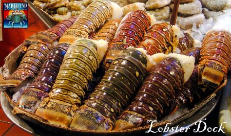 Caribbean Lobster Tails