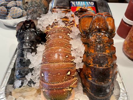 Caribbean and Maine Lobster Tails