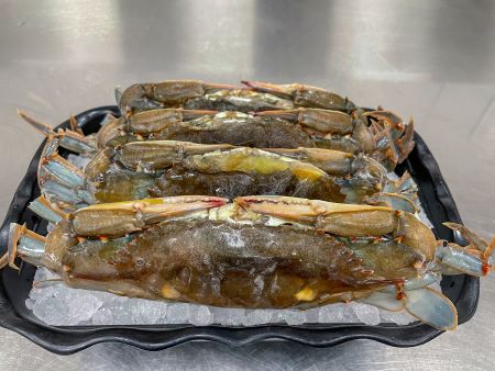 Fresh Soft Shell Crabs