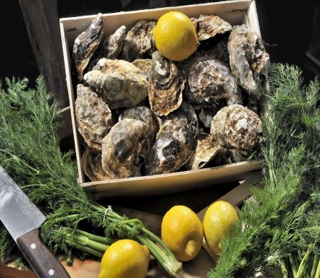 Northeastern Oysters