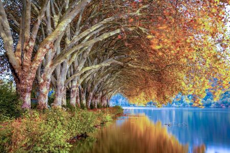Autumn in USA