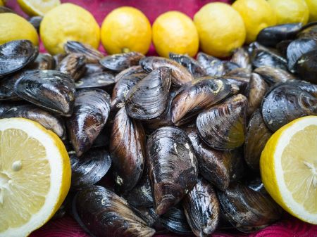 Pile of Mussels