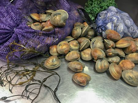 Bag of Clams