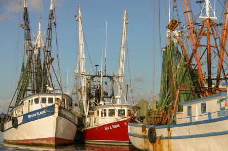 Shrimp boat